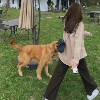 失落地带
